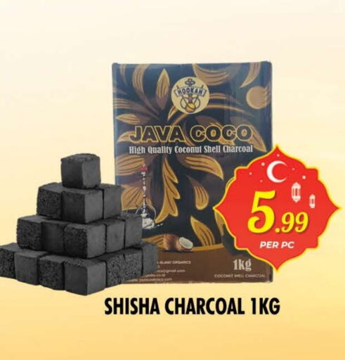 Outdoors & Garden in NIGHT TO NIGHT DEPARTMENT STORE, UAE Offers - United Arab Emirates Coconut available at NIGHT TO NIGHT DEPARTMENT STORE in UAE - Sharjah / Ajman
