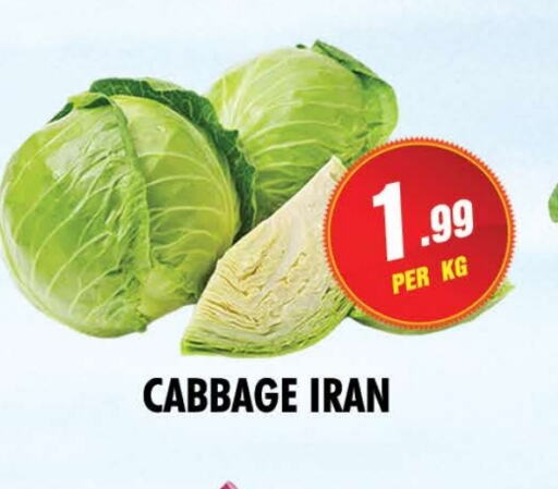 الخضروات الطازجة in نايت تو نايت, UAE Offers - الإمارات العربية المتحدة كرنب from Iran available at نايت تو نايت in الإمارات العربية المتحدة , الامارات - الشارقة / عجمان