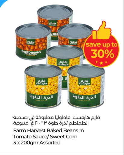 Baked Beans available at Lulu Hypermarket in UAE - Al Ain