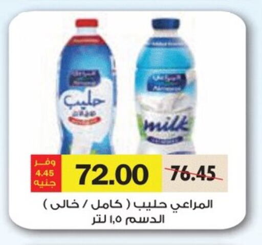 Milk & Laban in Royal House, Egypt Offers - Egypt ALMARAI available at Royal House in Egypt - Cairo