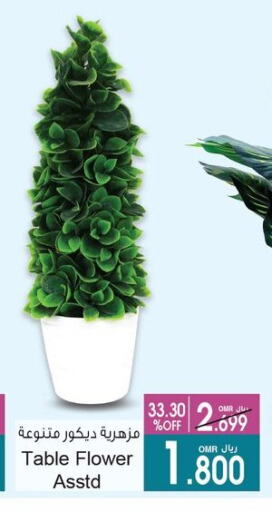تأثيث وديكورات المنزل in أيه & أتش, عُمان Offers - عُمان available at أيه & أتش in عُمان - صُحار