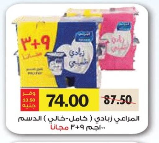 Yogurt & Labneh in Royal House, Egypt Offers - Egypt ALMARAI Yoghurt available at Royal House in Egypt - Cairo