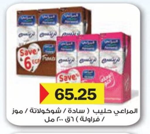 المراعي حليب بنكهات available at رويال هاوس in Egypt - القاهرة