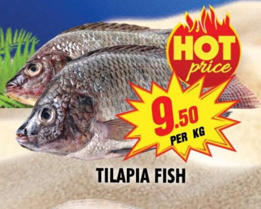 Fresh Fish in NIGHT TO NIGHT DEPARTMENT STORE, UAE Offers - United Arab Emirates available at NIGHT TO NIGHT DEPARTMENT STORE in UAE - Sharjah / Ajman
