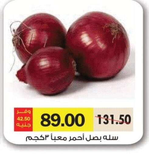 Fresh Vegetables in Royal House, Egypt Offers - Egypt Onion available at Royal House in Egypt - Cairo