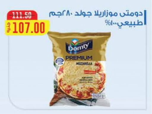 Cheese & Cream in Royal House, Egypt Offers - Egypt DOMTY Mozzarella available at Royal House in Egypt - Cairo