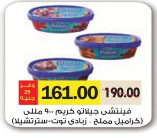 Yogurt & Labneh in Royal House, Egypt Offers - Egypt Yoghurt available at Royal House in Egypt - Cairo