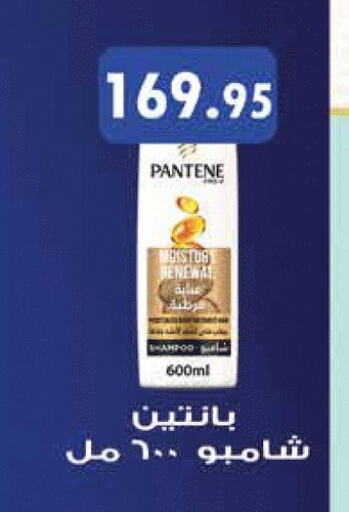 بنتين شامبو / بلسم available at رويال هاوس in Egypt - القاهرة