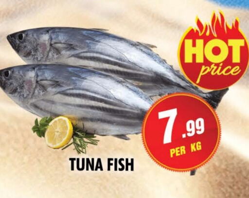 Fresh Fish in NIGHT TO NIGHT DEPARTMENT STORE, UAE Offers - United Arab Emirates Tuna available at NIGHT TO NIGHT DEPARTMENT STORE in UAE - Sharjah / Ajman