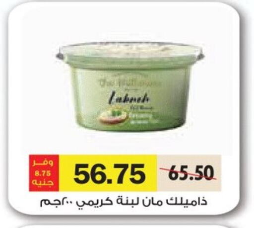Yogurt & Labneh in Royal House, Egypt Offers - Egypt Labneh available at Royal House in Egypt - Cairo
