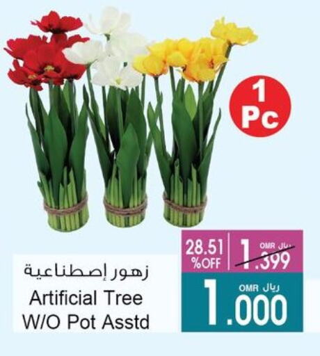 تأثيث وديكورات المنزل in أيه & أتش, عُمان Offers - عُمان available at أيه & أتش in عُمان - صُحار