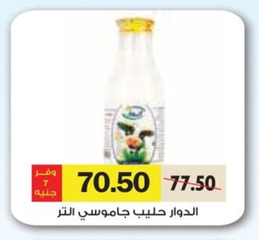 Milk & Laban in Royal House, Egypt Offers - Egypt available at Royal House in Egypt - Cairo