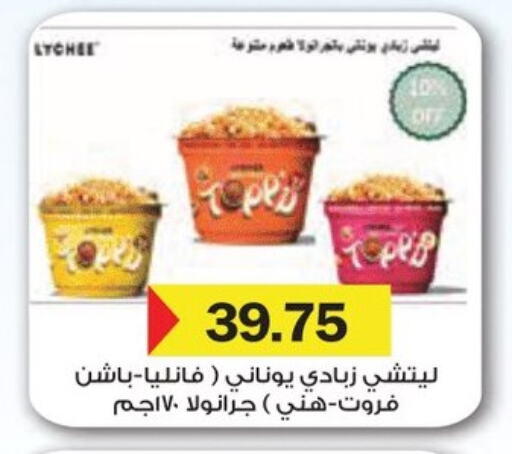Yogurt & Labneh in Royal House, Egypt Offers - Egypt Yoghurt available at Royal House in Egypt - Cairo