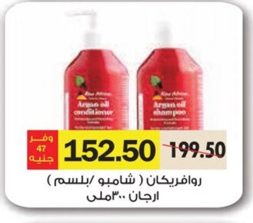 شامبو / بلسم available at رويال هاوس in Egypt - القاهرة