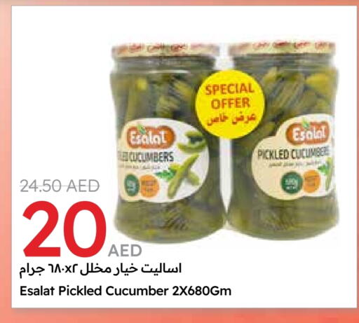 Pickle available at Emirates Co-Operative Society in UAE - Dubai