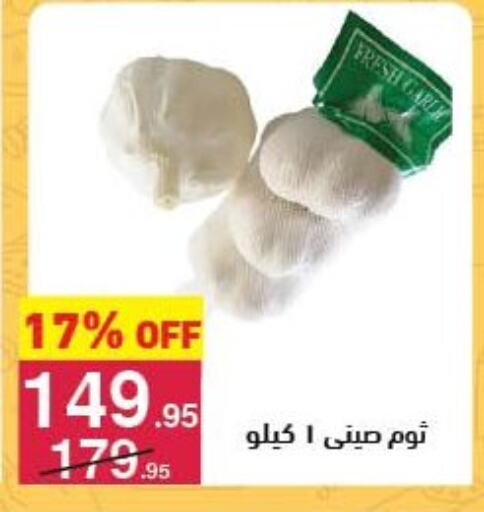 Fresh Vegetables in Mahmoud El Far, Egypt Offers - Egypt Garlic available at Mahmoud El Far in Egypt - Cairo