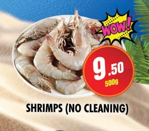Fresh Fish in NIGHT TO NIGHT DEPARTMENT STORE, UAE Offers - United Arab Emirates available at NIGHT TO NIGHT DEPARTMENT STORE in UAE - Sharjah / Ajman