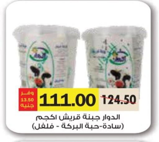 جبنة و كريم in رويال هاوس, Egypt Offers - Egypt available at رويال هاوس in Egypt - القاهرة