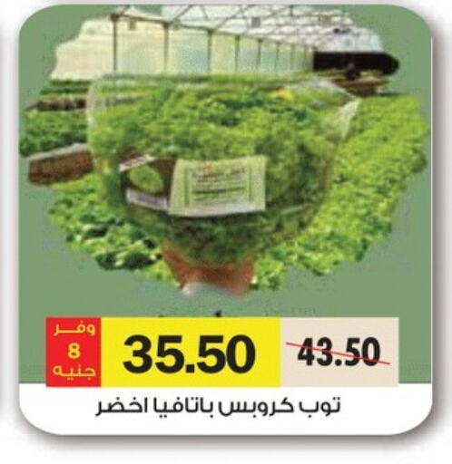 Fresh Vegetables in Royal House, Egypt Offers - Egypt available at Royal House in Egypt - Cairo