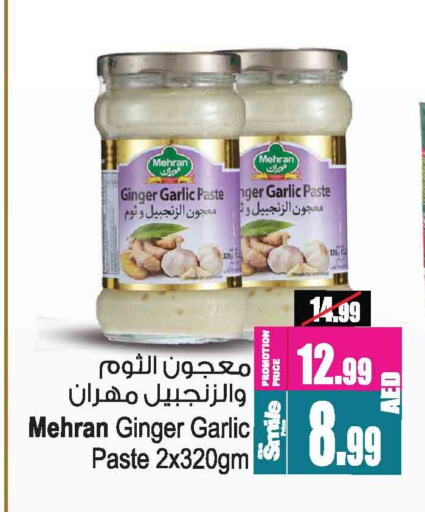 Salts, Spices & Paste in Ansar Gallery, UAE Offers - United Arab Emirates MEHRAN Garlic Paste available at Ansar Gallery in UAE - Dubai