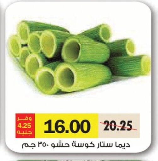 Fresh Vegetables in Royal House, Egypt Offers - Egypt Zucchini available at Royal House in Egypt - Cairo