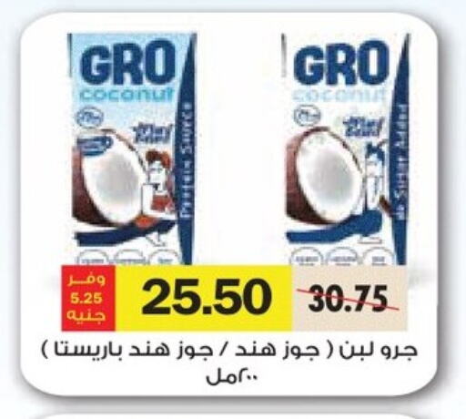 Juices & Drinks in Royal House, Egypt Offers - Egypt Coconut available at Royal House in Egypt - Cairo
