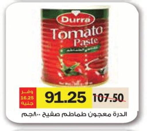 درة معجون طماطم available at رويال هاوس in Egypt - القاهرة
