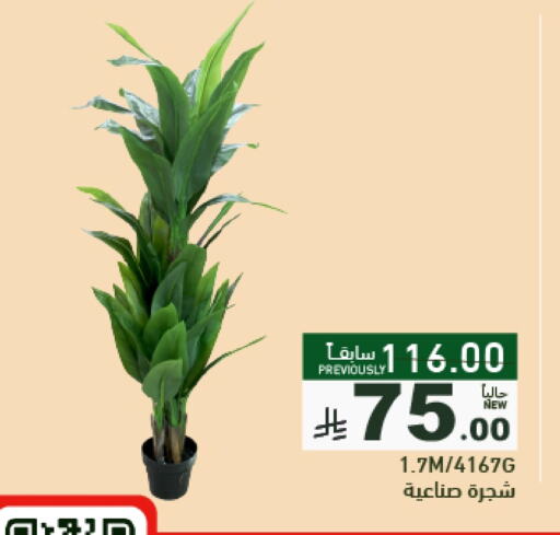 الشوكولاتة و الحلاوة in أسواق رامز, المملكة العربية السعودية Offers - المملكة العربية السعودية available at أسواق رامز in مملكة العربية السعودية, السعودية, سعودية - حفر الباطن