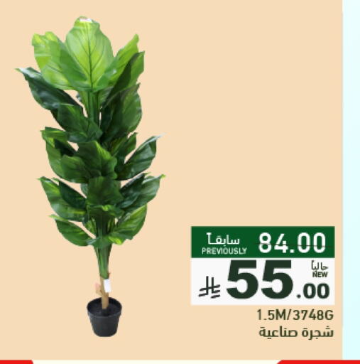 available at أسواق رامز in مملكة العربية السعودية, السعودية, سعودية - تبوك