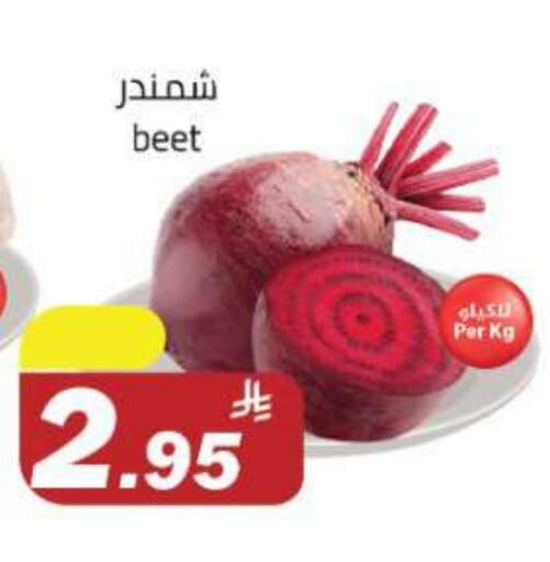 شمندر available at مخازن هايبرماركت in مملكة العربية السعودية, السعودية, سعودية - تبوك