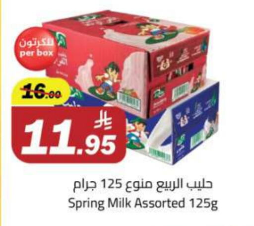 الربيع حليب بنكهات available at مخازن هايبرماركت in مملكة العربية السعودية, السعودية, سعودية - تبوك