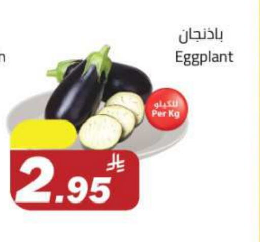 Eggplant available at مخازن هايبرماركت in مملكة العربية السعودية, السعودية, سعودية - تبوك