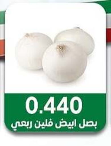 بصل available at جمعية مدينة صباح الأحمد التعاونية in الكويت - محافظة الجهراء
