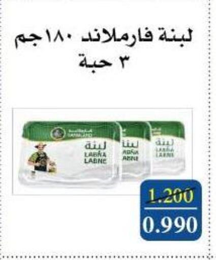 Yogurt & Labneh in Al Masayel co-op , Kuwait Offers - Kuwait Labneh available at Al Masayel co-op in Kuwait - Ahmadi Governorate