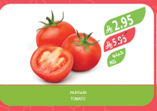 الخضروات الطازجة in المزرعة, المملكة العربية السعودية Offers - المملكة العربية السعودية طماطم available at المزرعة in مملكة العربية السعودية, السعودية, سعودية - الأحساء