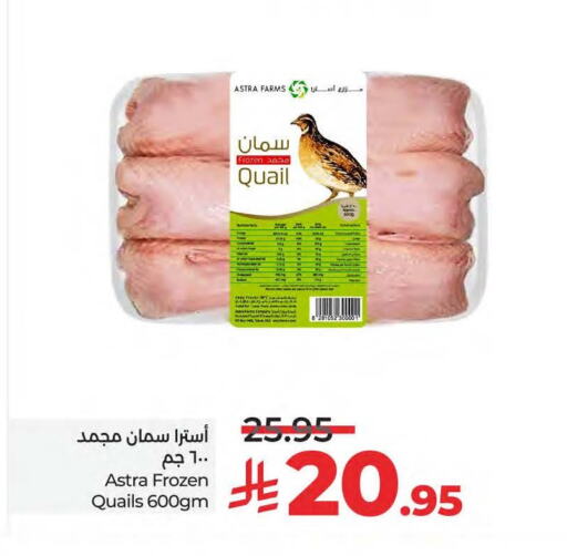 اللحوم المجمدة in لولو هايبرماركت, المملكة العربية السعودية Offers - المملكة العربية السعودية available at لولو هايبرماركت in مملكة العربية السعودية, السعودية, سعودية - القطيف