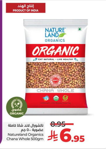 available at لولو هايبرماركت in مملكة العربية السعودية, السعودية, سعودية - تبوك
