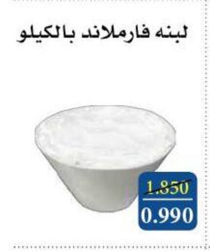 Yogurt & Labneh in Al Masayel co-op , Kuwait Offers - Kuwait Labneh available at Al Masayel co-op in Kuwait - Ahmadi Governorate