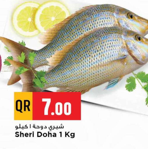 available at مرزا هايبرماركت in قطر - أم صلال