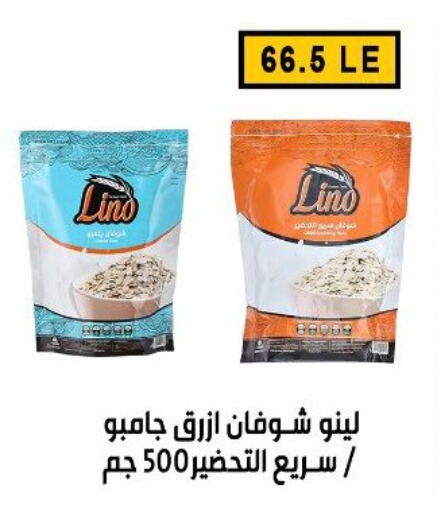 Oats available at Ben Seleman in Egypt - Cairo