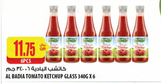 كاتشب الطماطم available at شركة الميرة للمواد الاستهلاكية in قطر - الريان