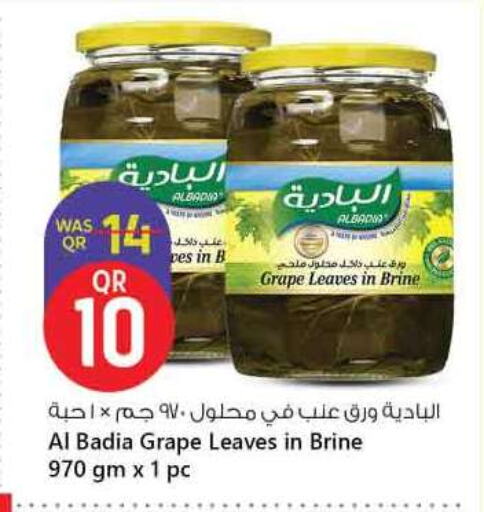 available at سفاري هايبر ماركت in قطر - الريان