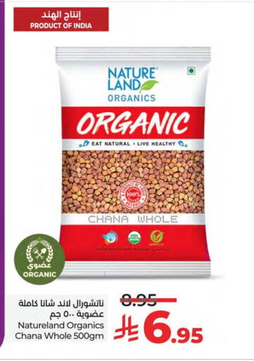 available at لولو هايبرماركت in مملكة العربية السعودية, السعودية, سعودية - المنطقة الشرقية