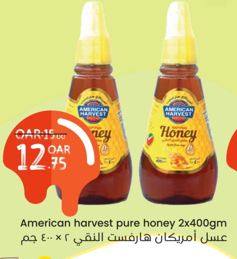 Sauces & Spreads in Regency Group, Qatar Offers - Qatar AMERICAN HARVEST Honey available at Regency Group in Qatar - Al Shamal