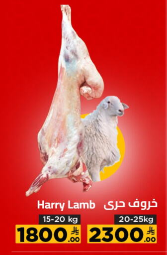 لحم الضأن / الغنم available at وهج مارت in مملكة العربية السعودية, السعودية, سعودية - جدة