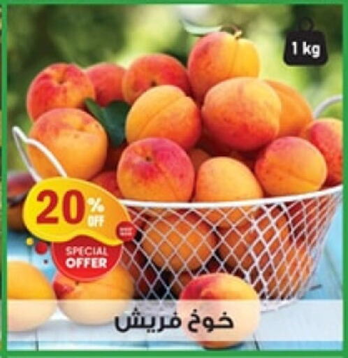 Peach available at Al Habib Market in Egypt - Cairo