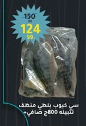 سمك مجمد in الحبيب ماركت, Egypt Offers - Egypt available at الحبيب ماركت in Egypt - القاهرة