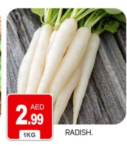 Radish available at TALAL MARKET in UAE - Abu Dhabi