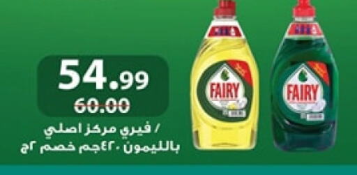 FAIRY available at Al Habib Market in Egypt - Cairo