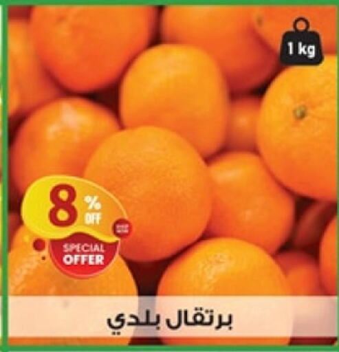 Orange available at Al Habib Market in Egypt - Cairo